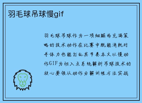 羽毛球吊球慢gif